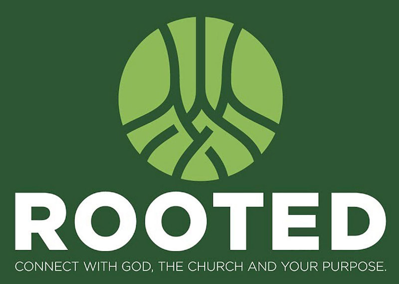 Rooted